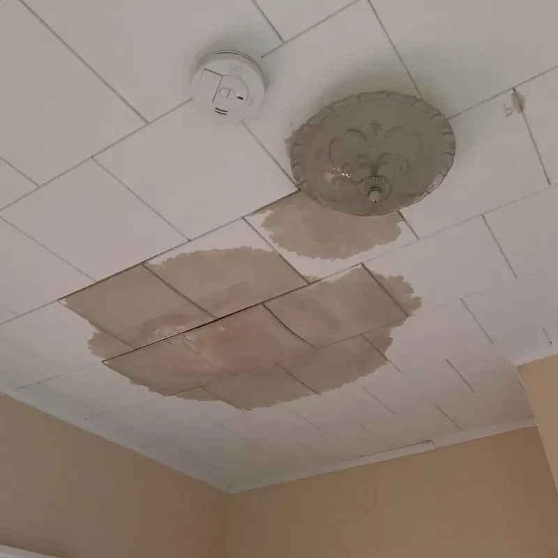 Ceiling Water Damage Repair in Sandy, PA
