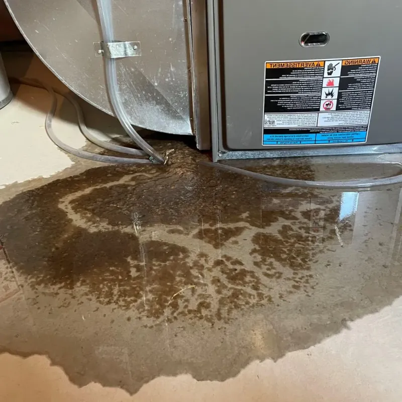Pipe Burst and Leak Restoration in Sandy, PA